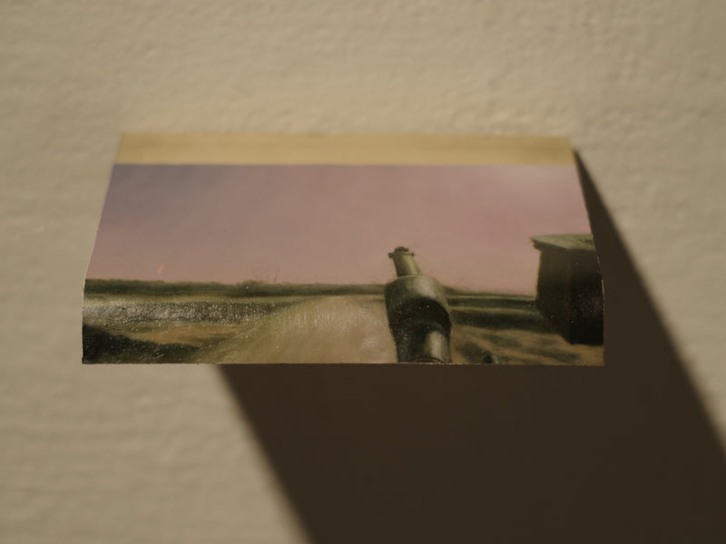 Gun in Landscape