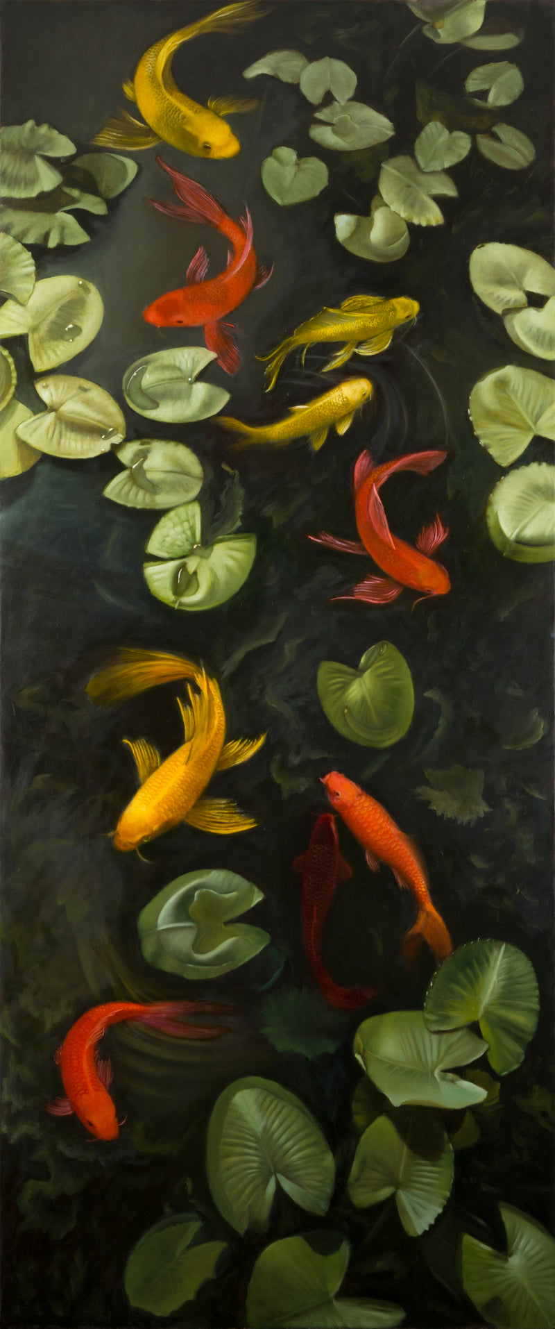 Pond