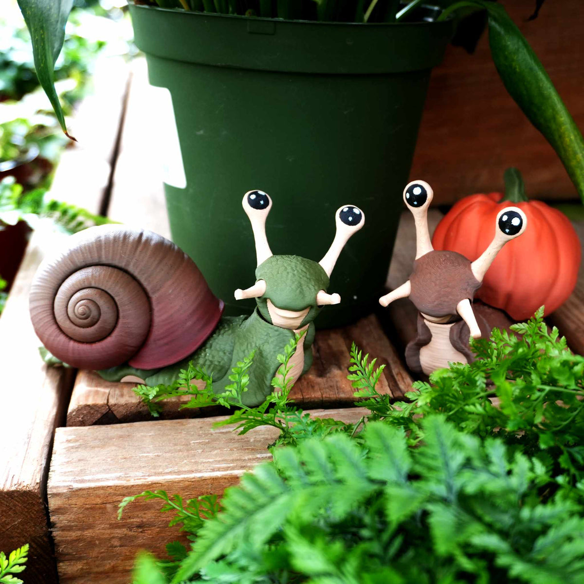 Green and brown articulated snails with spiral and pumpkin shells on a wooden step beside ferns