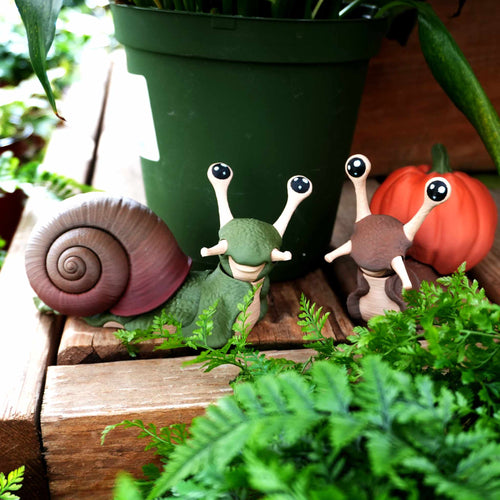 Green and brown articulated snails with spiral and pumpkin shells on a wooden step beside ferns